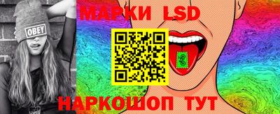 индика Новодвинск