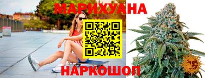 индика Новодвинск