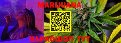 индика Новодвинск