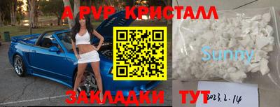 индика Новодвинск