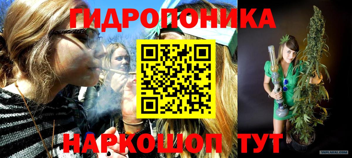 Бошки Шишки SATIVA & INDICA Знаменск